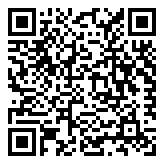 Scan QR Code for live pricing and information - Jordan NBA Chicago Bulls Statement Pullover Hoodie Junior